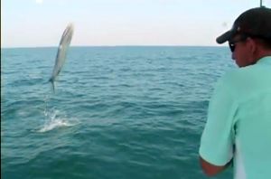 VIDEO: Crazy barracuda jumps into boat!